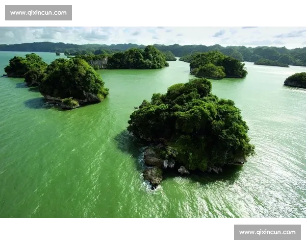 森林赛事盛典：绿色竞技与自然共舞的全新挑战之旅